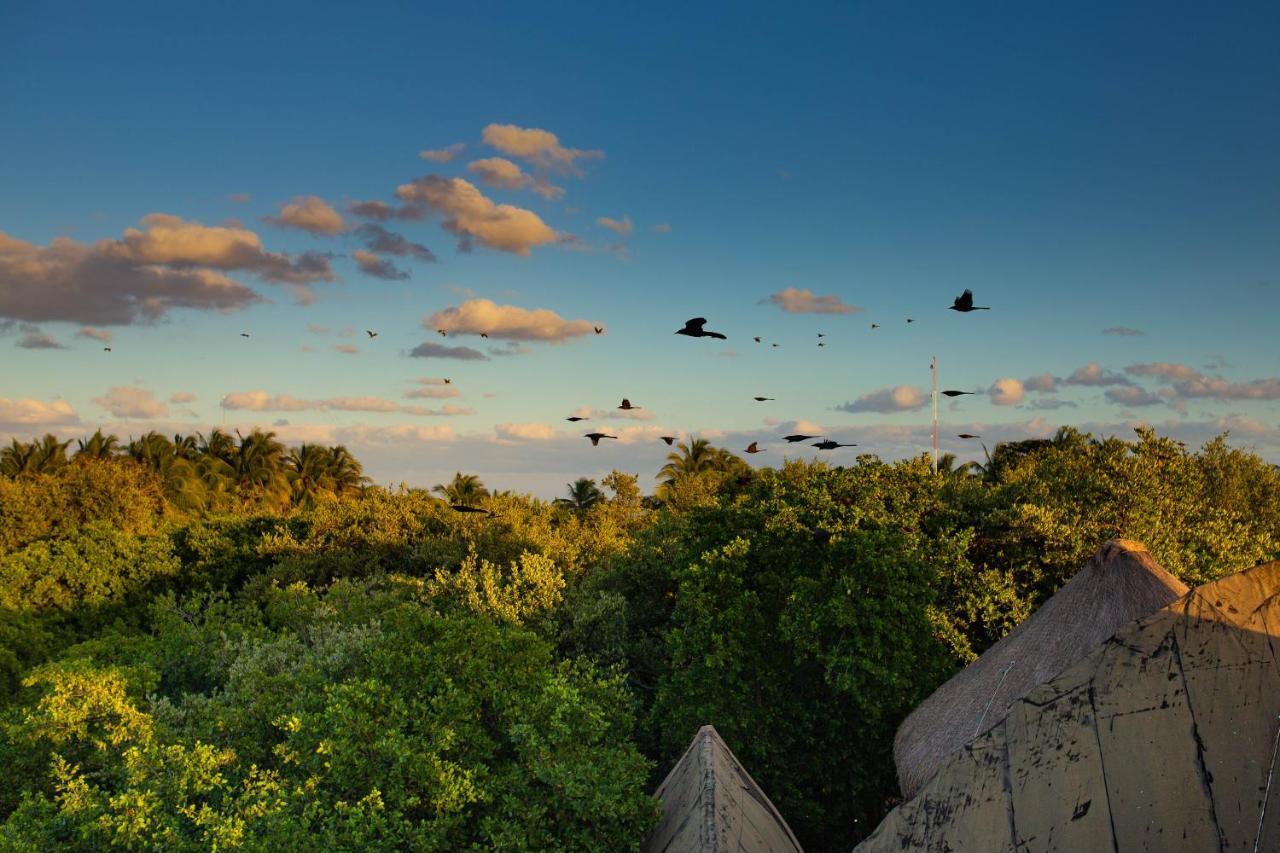Mamasan Treehouses & Cabins Tulum Zewnętrze zdjęcie